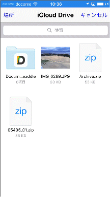 iZip 10